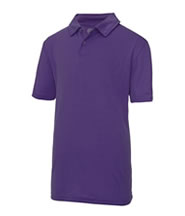 Cooltex PE Polo Top (Purple) with Logo - Iveshead School