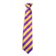 Tie (Yellow/Purple) - Iveshead School